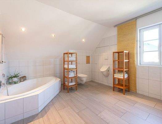 HP6-Einfamilienhaus-Goeming-Salzburg-Badezimmer