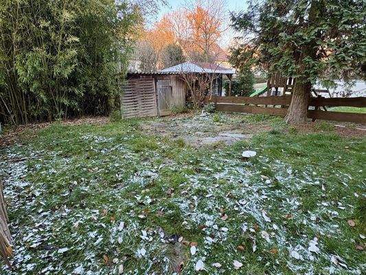 großer Garten mit Geräteschuppen