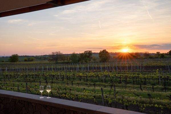 Kopie souboru DSC02163.jpg