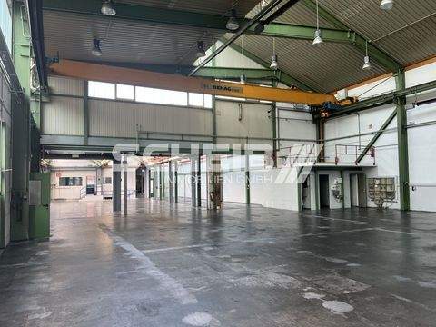 Crailsheim Halle, Crailsheim Hallenfläche