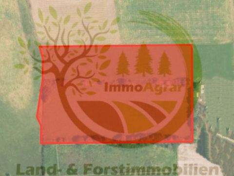 Bernbeuren Bauernhöfe, Landwirtschaft, Bernbeuren Forstwirtschaft