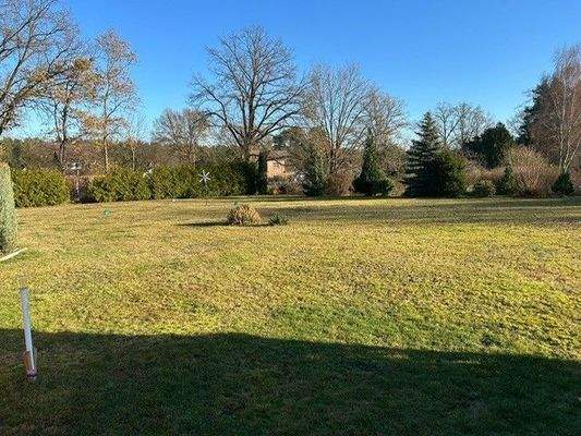 Garten Rasenfläche.JPG