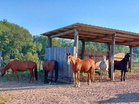 06 Fressplätze.jpg