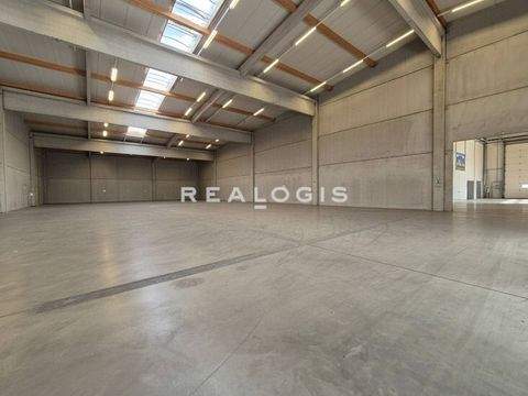 Olching Halle, Olching Hallenfläche