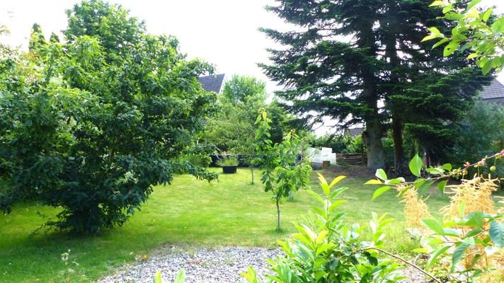 Blick in den Garten