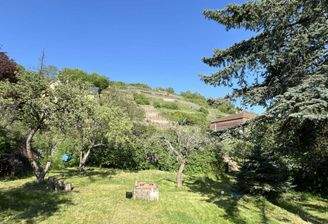 Blick vom Grundstück