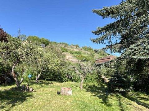 Radebeul Grundstücke, Radebeul Grundstück kaufen