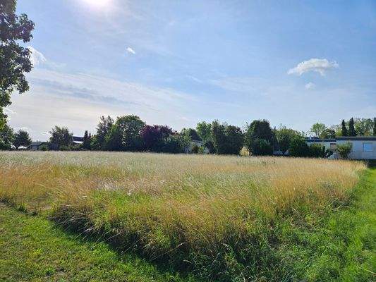 Klein Vahlberg_2.jpg