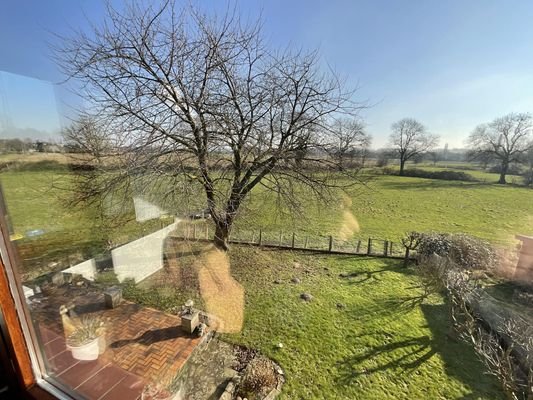 Ausblick ins Binsheimerfeld