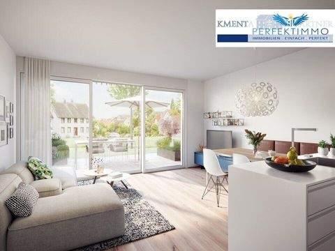 Hohenweiler Häuser, Hohenweiler Haus kaufen