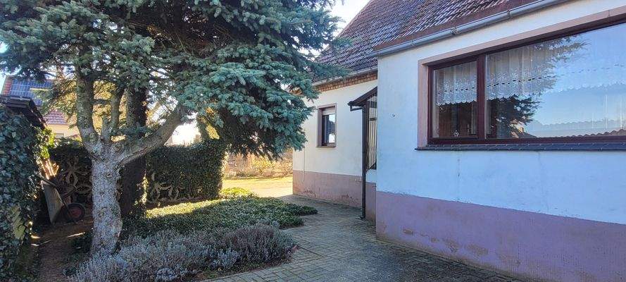 Hintereingang mit Veranda