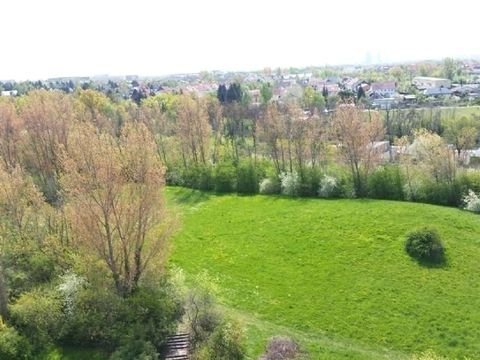 Halle (Saale) Wohnungen, Halle (Saale) Wohnung mieten