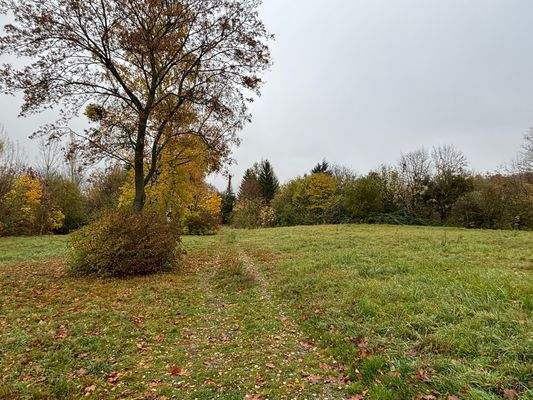 Ein Teil des Grundstücks