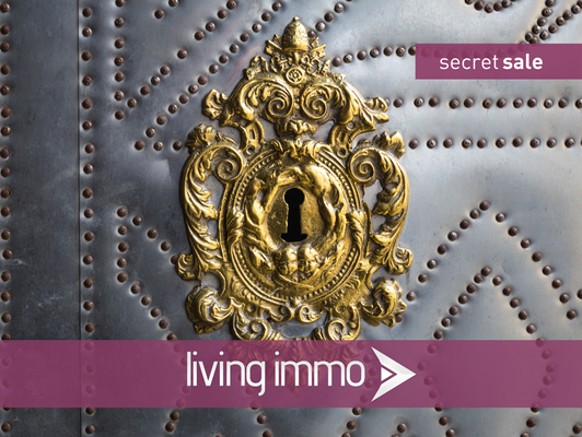 Vorlage Startbild Normal Logo und Fenster living immo Farbe (1)