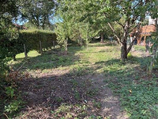 Entspannung pur im Gartenteil