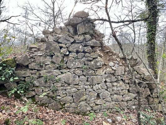 Ruine-Hausbau