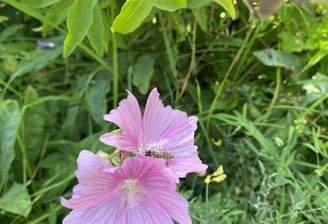 20250810 082321113 iOS