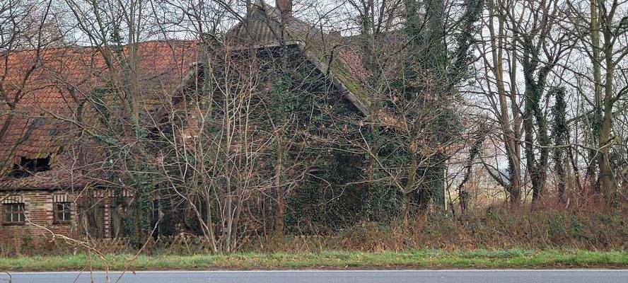 Seitenansicht Titel 20251221_155044.jpg