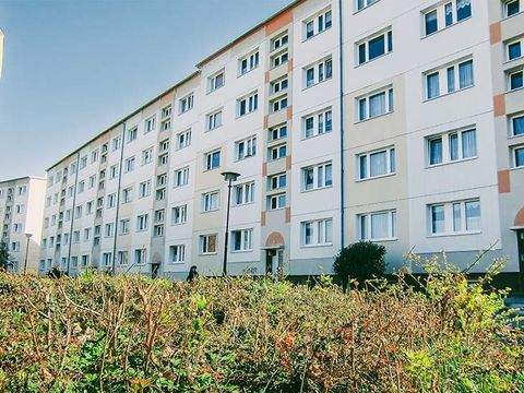 Prenzlau Wohnungen, Prenzlau Wohnung mieten