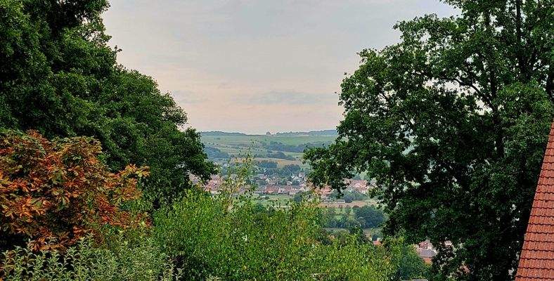 EG, Ausblick von Wohn-/Esszimmer nach links
