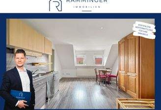 Billigheim Frontpage