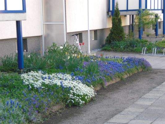 Schubertstr 5 vorn.jpg