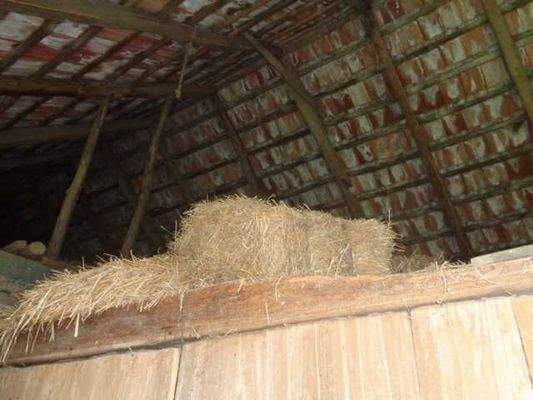 Heu/Futterlager alte Scheune