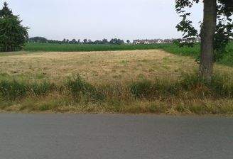 Baugebiet mit Weitblick