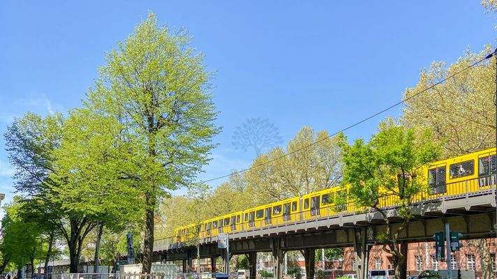 Umgebung / enviroment