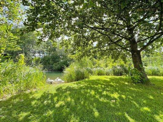 Natürliche Beschattung durch alten Baumbestand