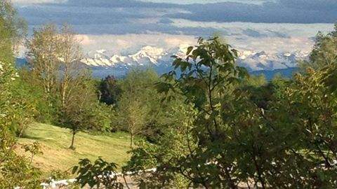Leutkirch im Allgäu Bauernhöfe, Landwirtschaft, Leutkirch im Allgäu Forstwirtschaft