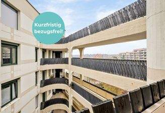 Licht. Architektur. Aussicht