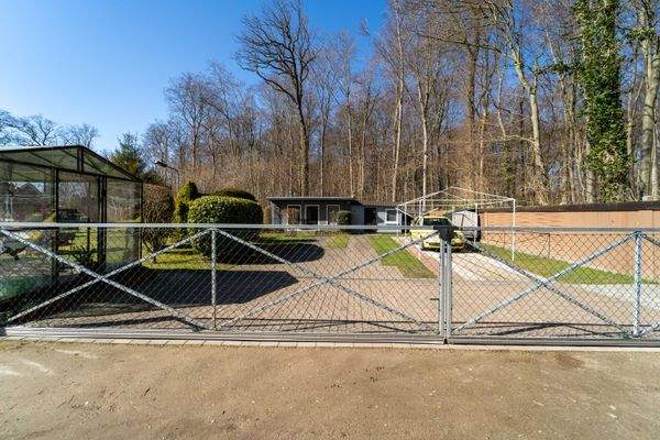 Außenansicht + Garten