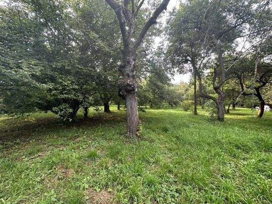 Ansicht Grundstück 1