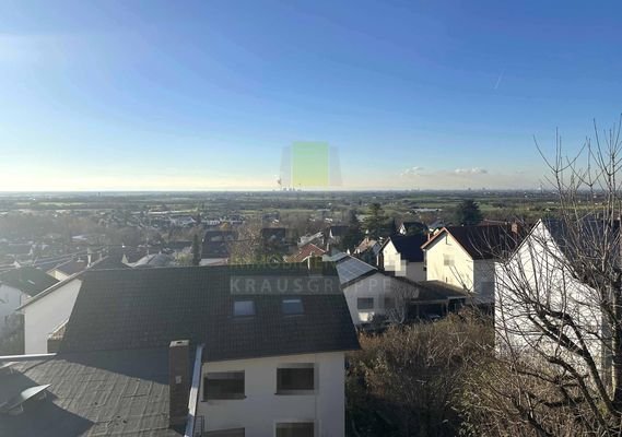 Fernblick