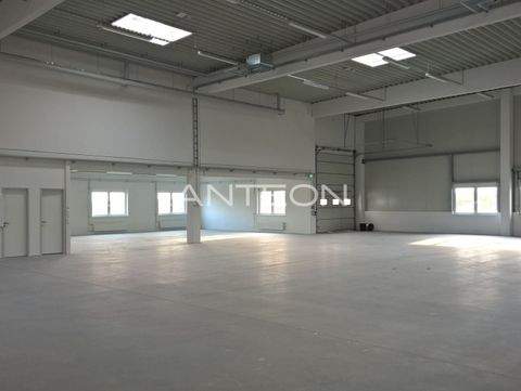 Düsseldorf Halle, Düsseldorf Hallenfläche