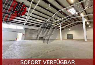 INFOS UNTER: 06171-586000