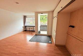Wohn-/Schlafzimmer