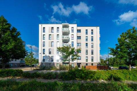 Rostock Wohnungen, Rostock Wohnung mieten