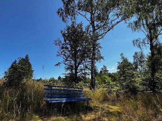 Bank am Rande zur Bergwiese