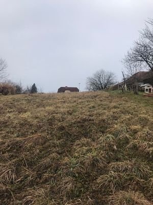 IMG_1670.jpg