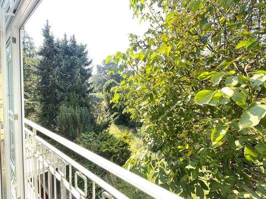 Aussicht vom Wintergarten