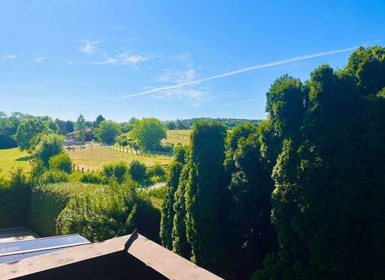 Blick vom Balkon.jpeg