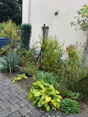 Vorgarten.JPG