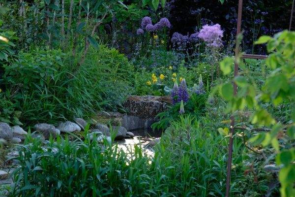 Wasserlauf im Frühling