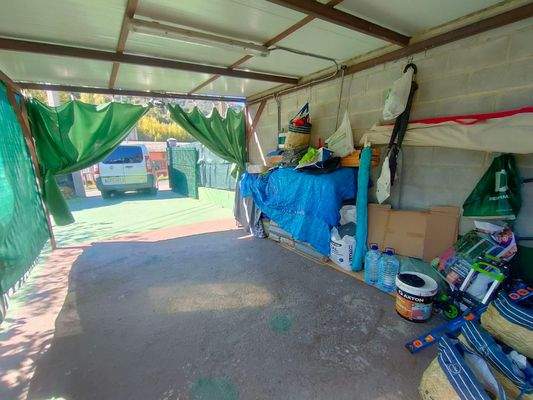 photo1696515543 (3).jpeg