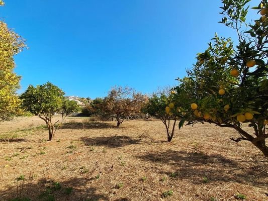 Kreta, Armeni: Erstklassiges Baugrundstück mit Bergblick, Obstgarten und Strandnähe