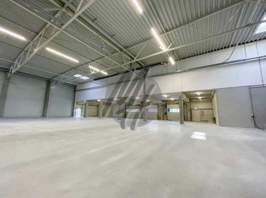 INFOS UNTER: 06171-586000