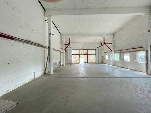 Lindau Halle, Lindau Hallenfläche