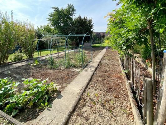 Pflanz- und Gemüsegarten